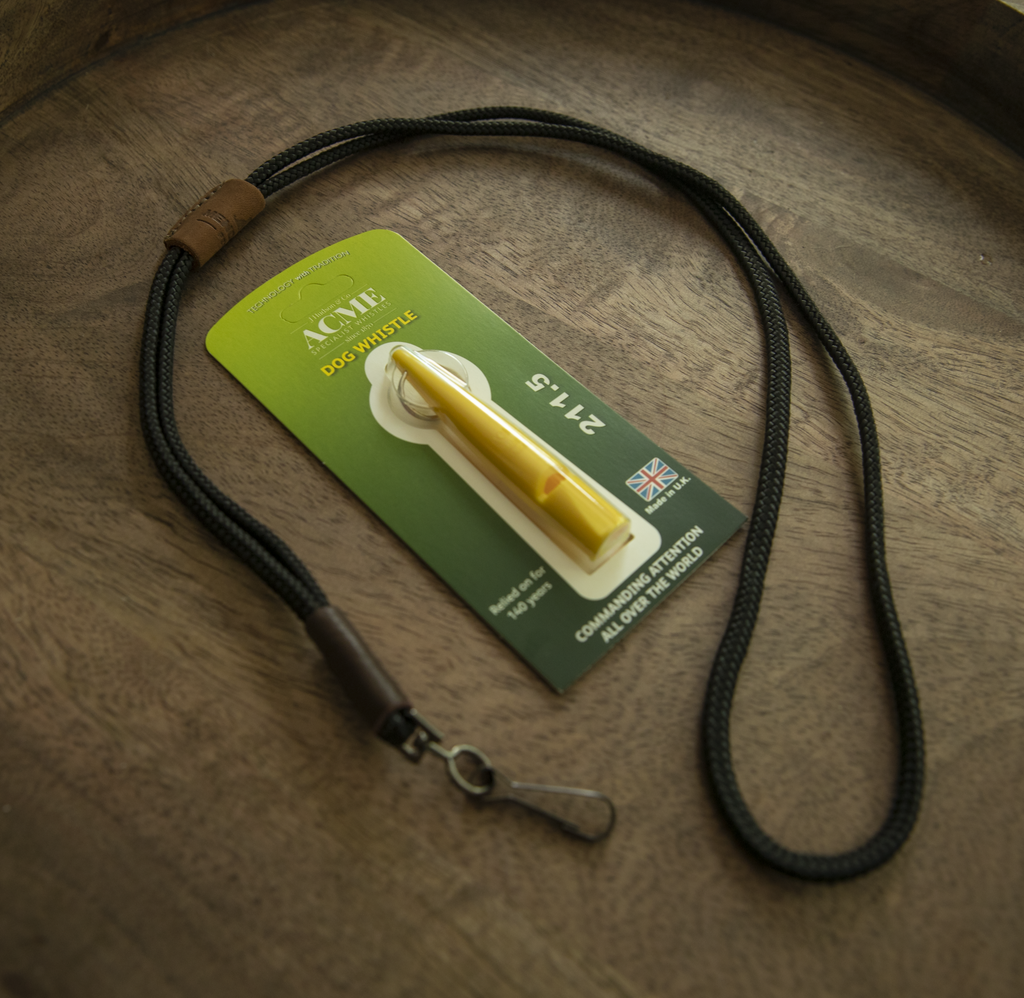 Training Whistle and Lanyard